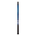 RAQUETTE YONEX EZONE 100